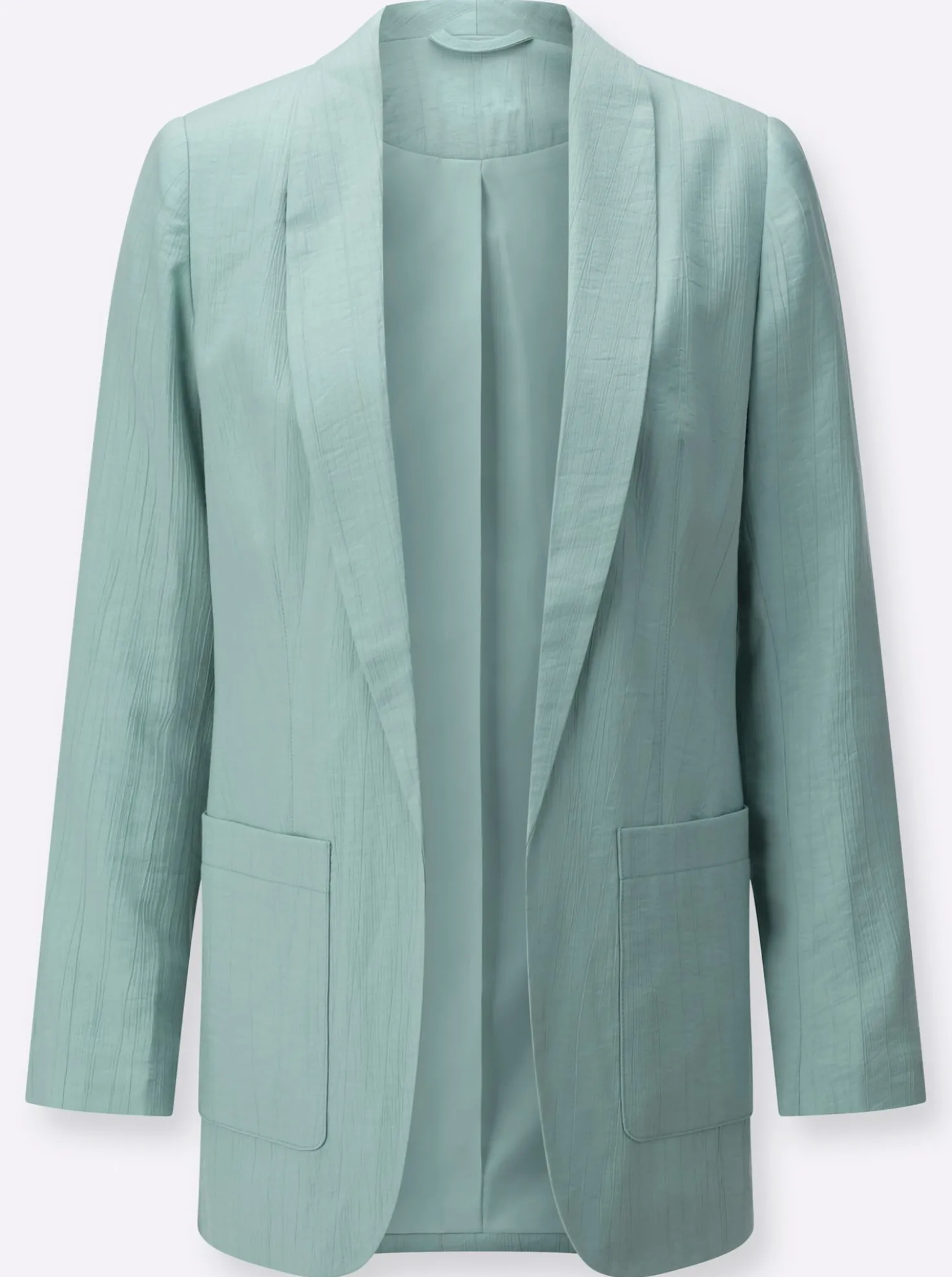 Blazer in dezent schimmernder Qualität