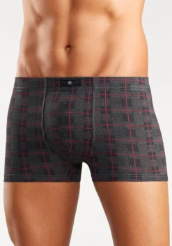 Boxer