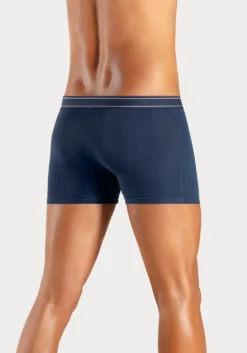 Boxer