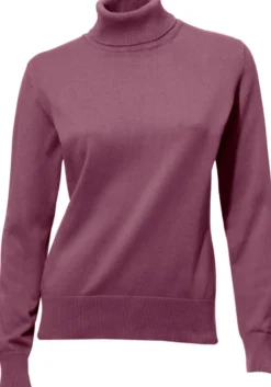 Rollkragenpullover in Feinstrick-Qualität