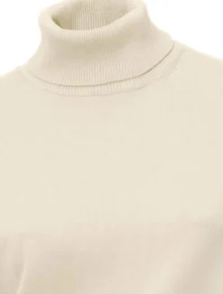 Rollkragenpullover in Feinstrick-Qualität